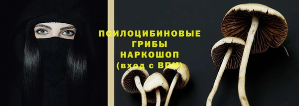 MDMA Белокуриха