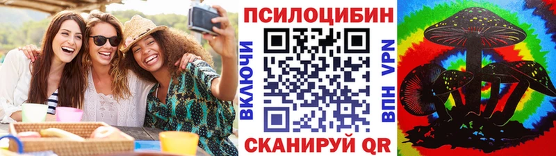 Псилоцибиновые грибы мухоморы  где купить наркоту  Болгар 